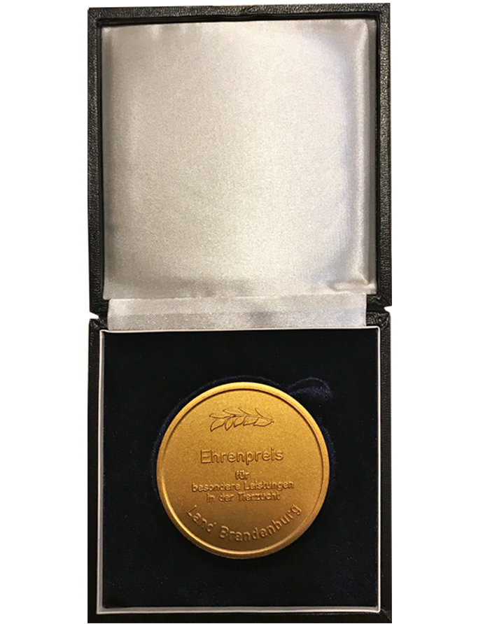 auszeichnung1